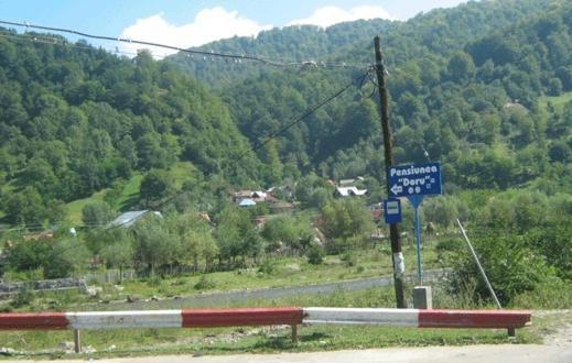 Hotel Pensiunea D O R U Arges Coteneşti Exterior foto