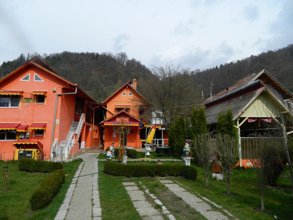 Hotel Pensiunea D O R U Arges Coteneşti Exterior foto